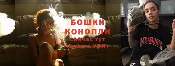 сатива Наволоки