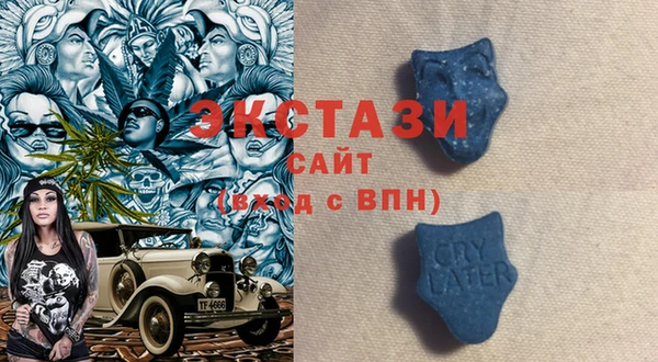 дживик Надым