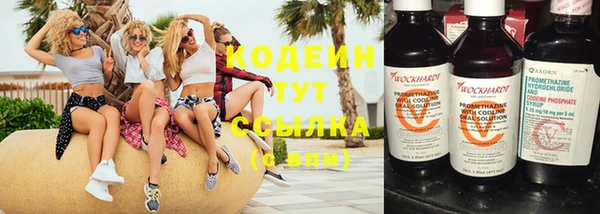 дживик Надым