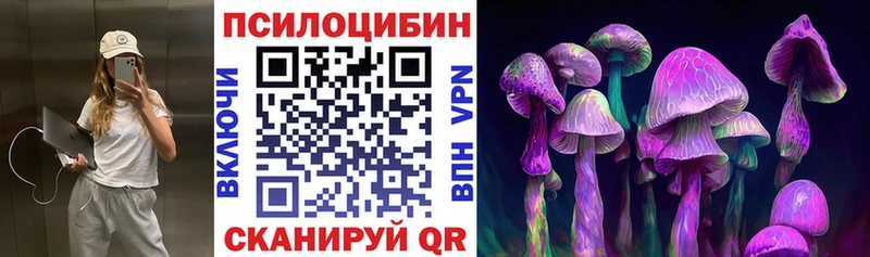 Галлюциногенные грибы Psilocybe  Кирсанов 